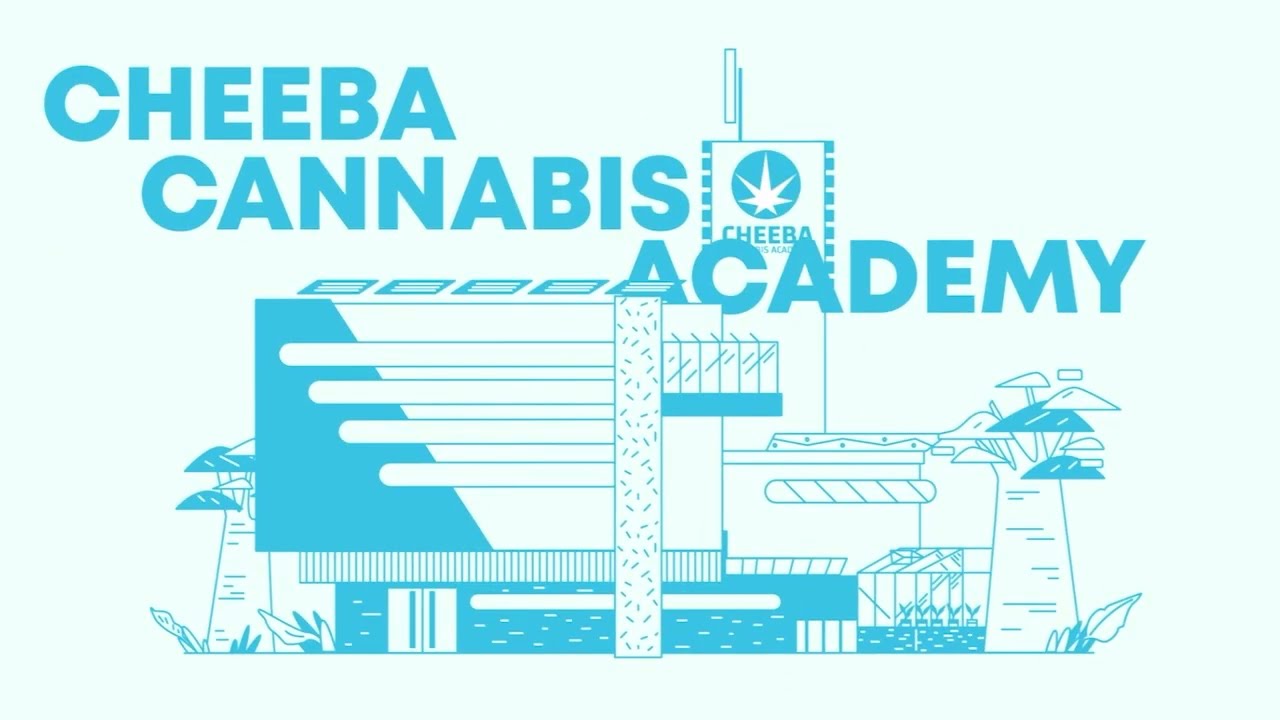 Cheeba Cannabis Academy Promo Video