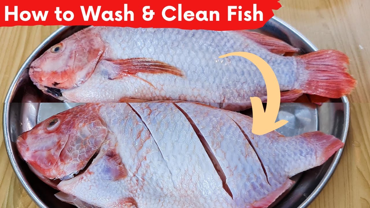 How to Cut and Wash Fish Before Cooking | Remove Fishy Smell