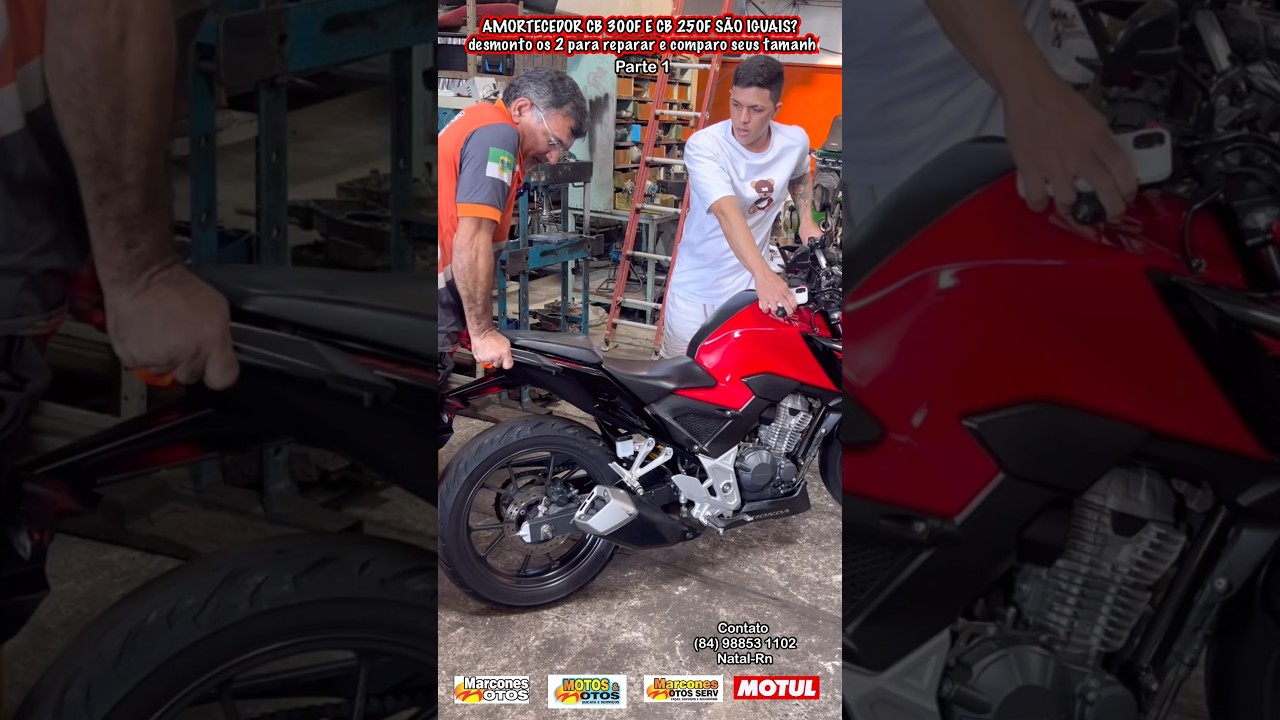 Cb Twister 300f e 250f tem amortecedores iguais? #moto #amortecedor #honda #twister #cb300f #cb250f