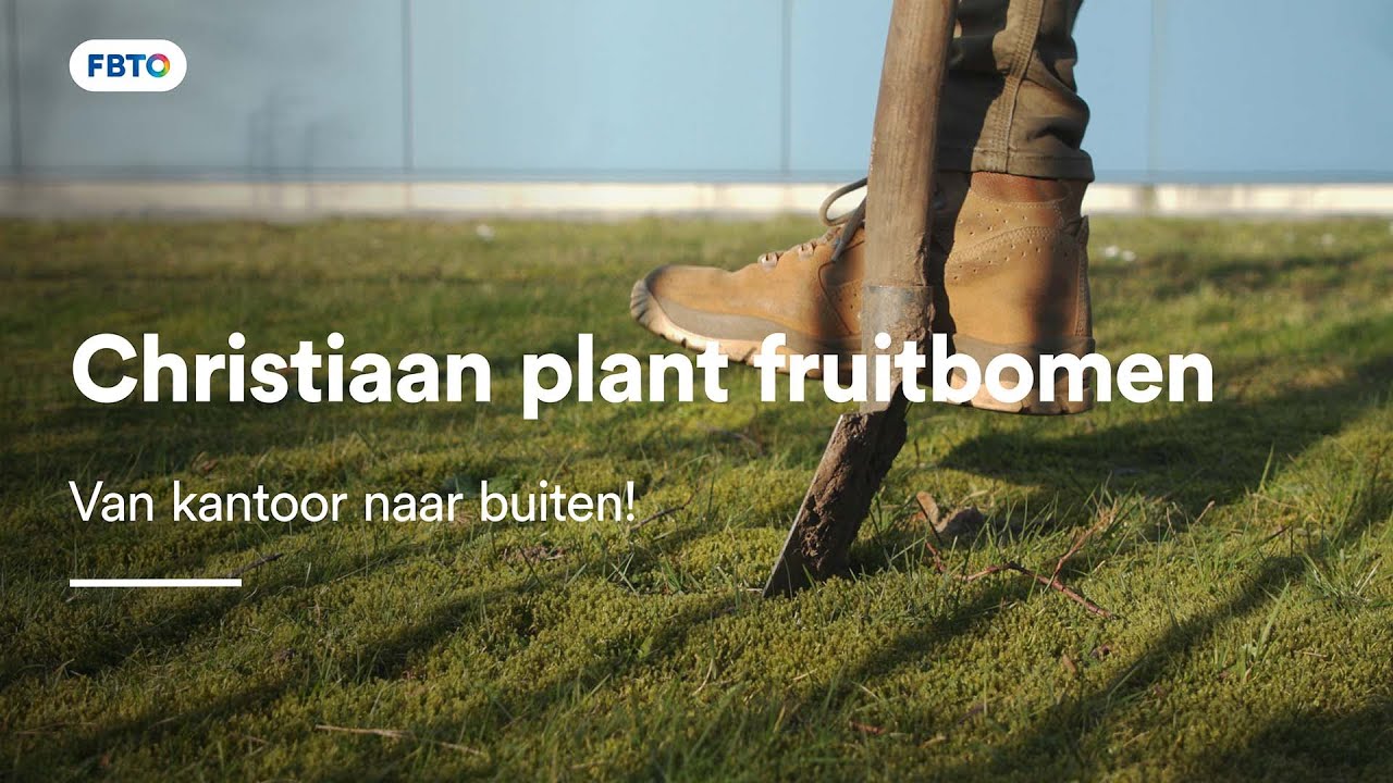 Fruitbomen planten om bedrijfsterreinen vergroenen | Jij kiest. FBTO