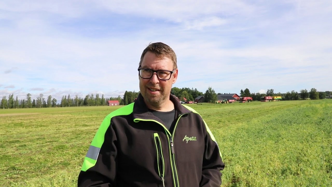 Pakastehernettä puidaan yötä päivää