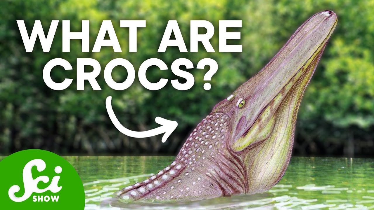 The Weird World of Prehistoric Crocodiles