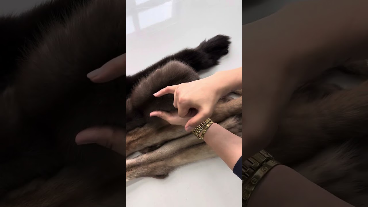 Мех куницы #куница #шубаизкуницы #куницашуба #шуба