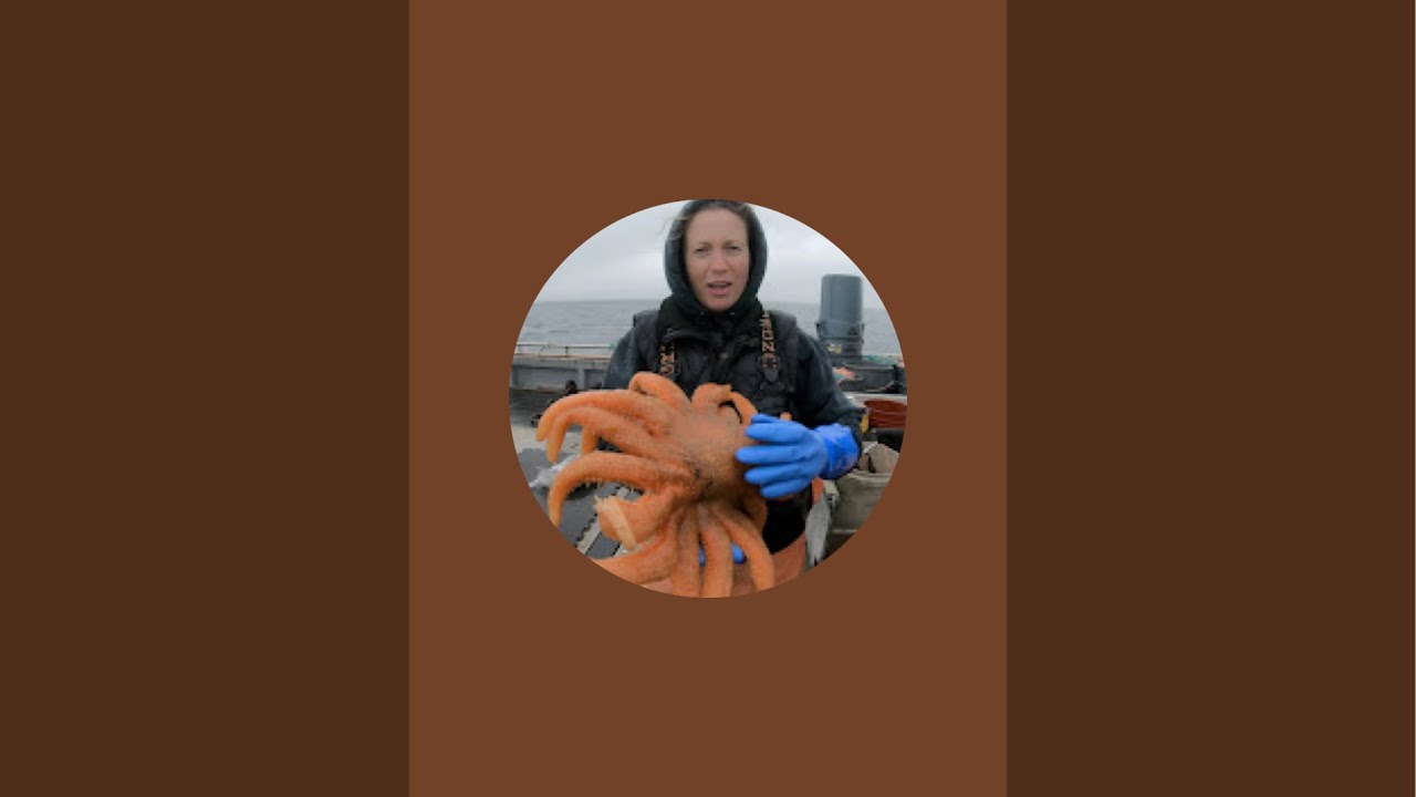 Commercial crabbing with Georgia Haight!