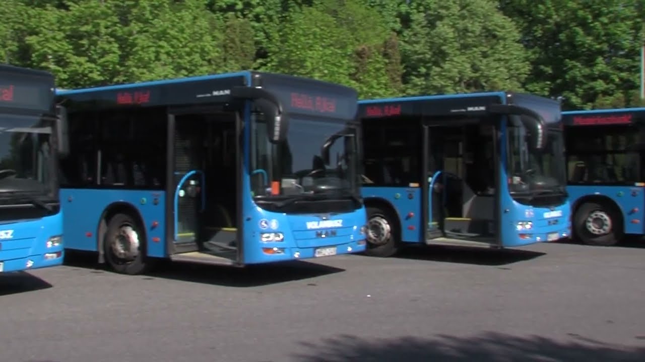 Hét újszerű MAN Lion’s City busz állt forgalomba - Ajka TV 2023.05.08.