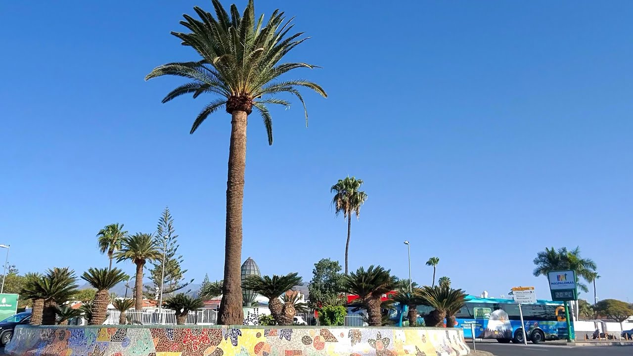 Las Palmas. January Gran Canaria.2025