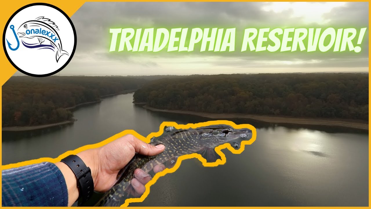 MULTI-SPECIES Fishing at Triadelphia Reservoir, Bass, Perch and Pike!