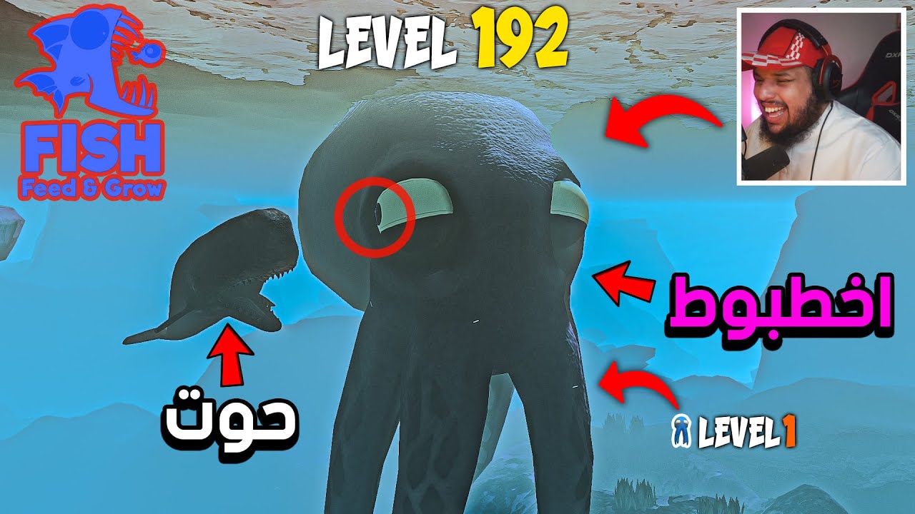 الاخطبوط اللي ياكل اخوانه 🐙😁 | Feed and Grow: Fish