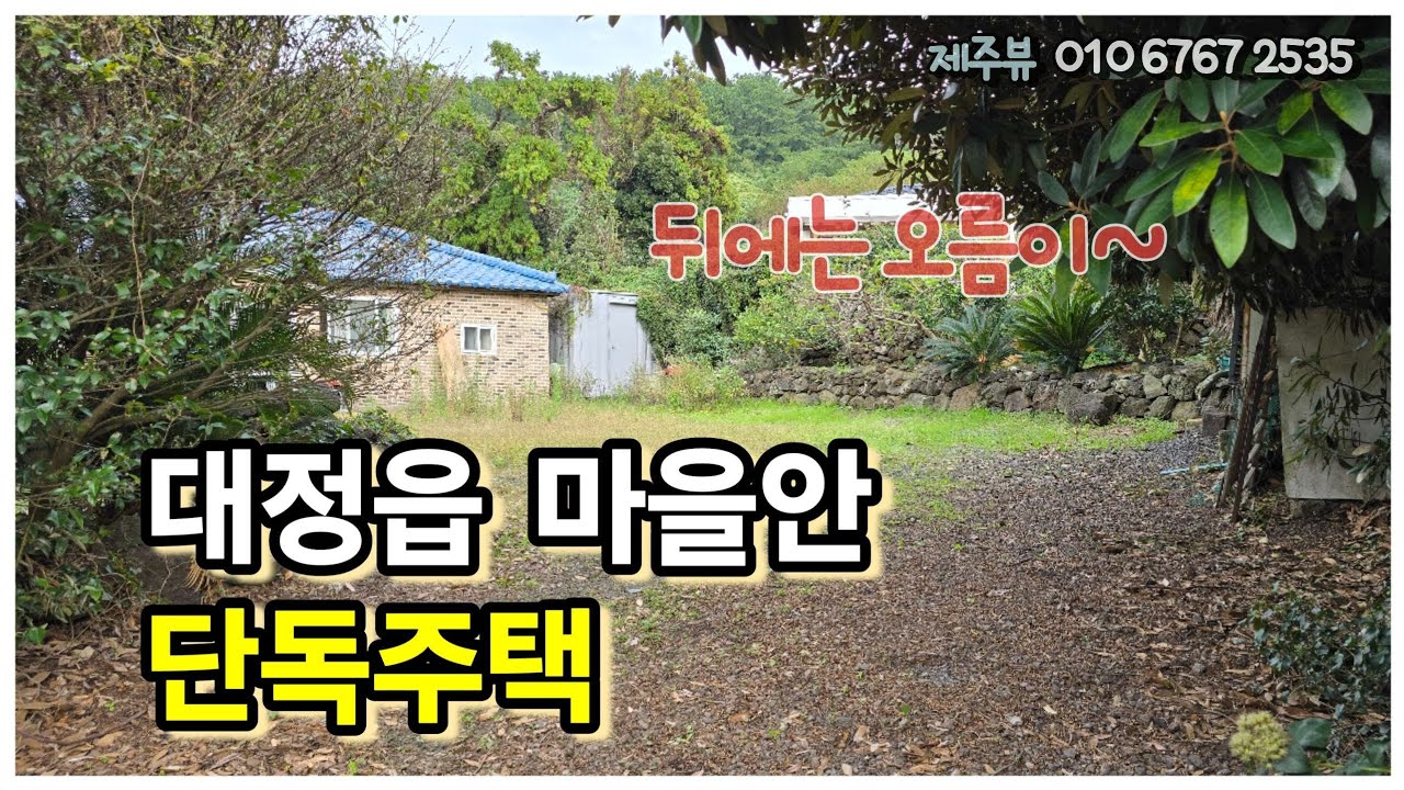 서귀포시 대정읍 신도리 단독주택 뒤쪽에는 오름이 있어서 더욱 분위기 좋은