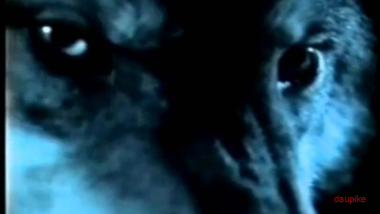 BURZUM - Belus' Død HD (Unofficial Music Video)