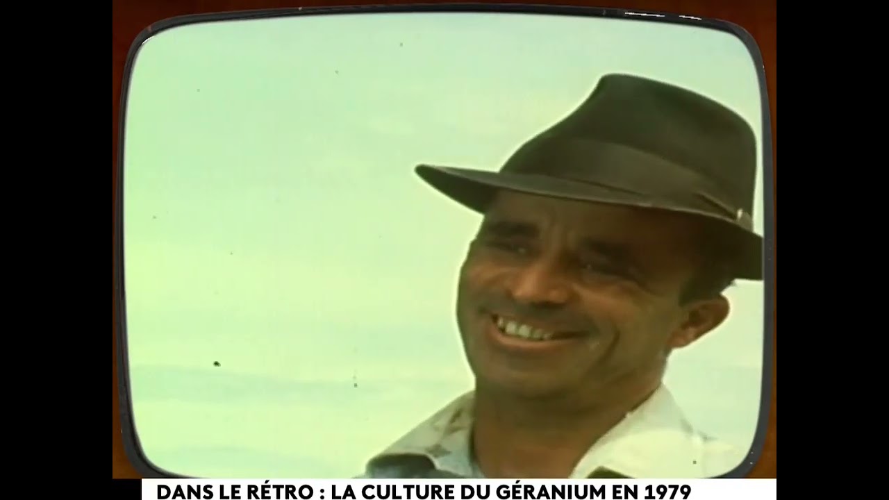 La culture du géranium (1979) - Archive Réunion 1ère