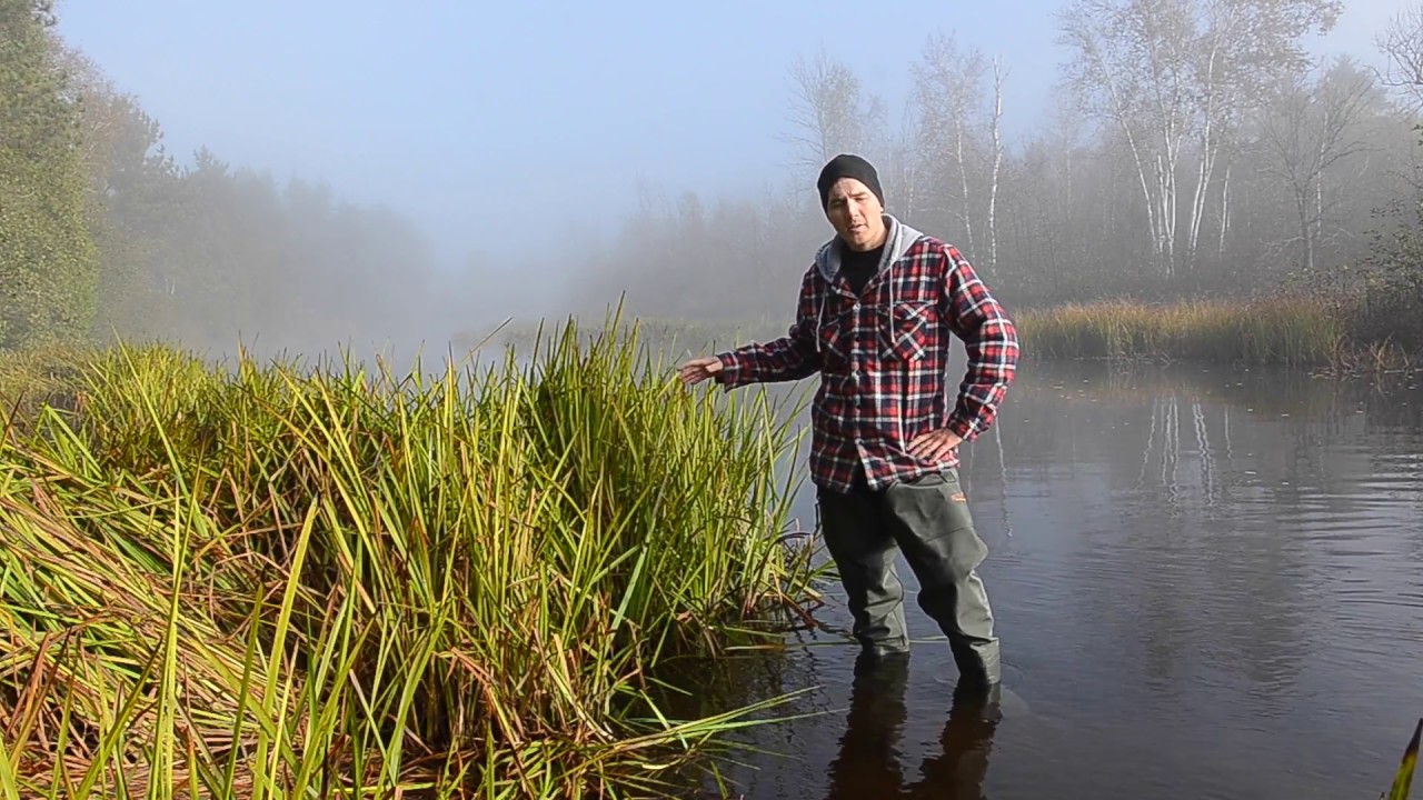 Photography in the River