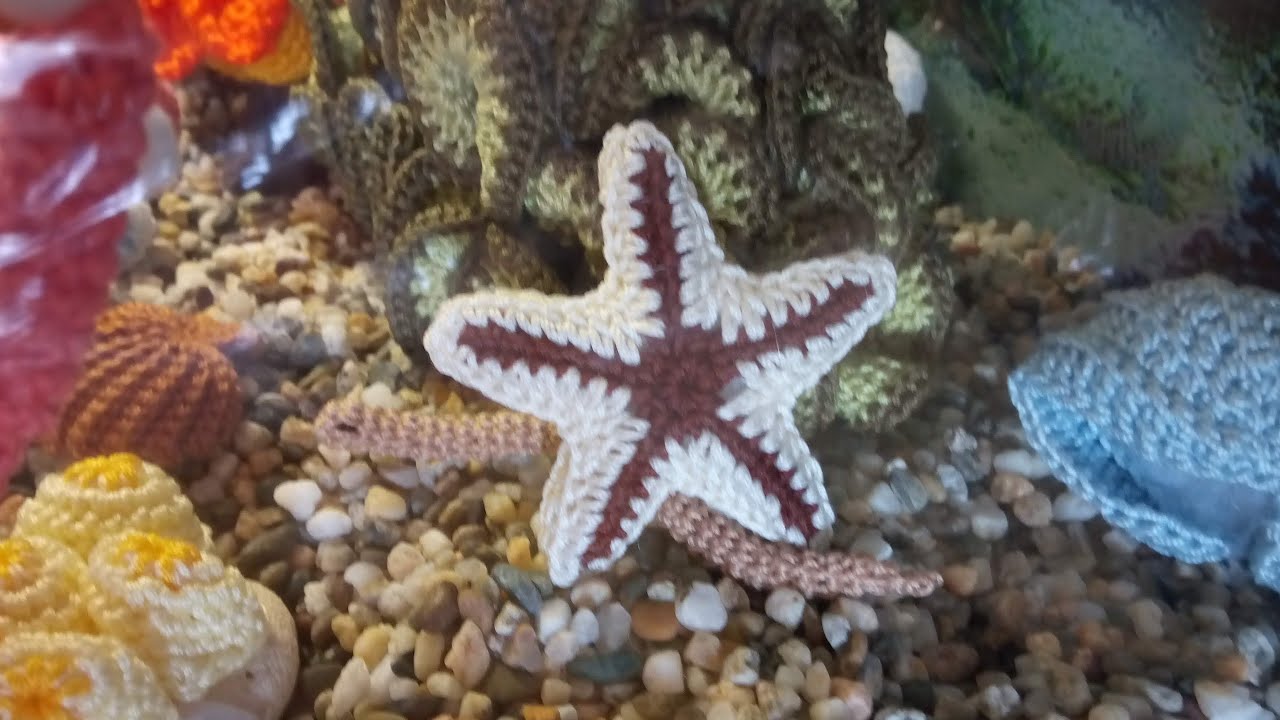 tutorial #stellamarina #acquario #uncinetto - #Crochet #FishTank #starfis
