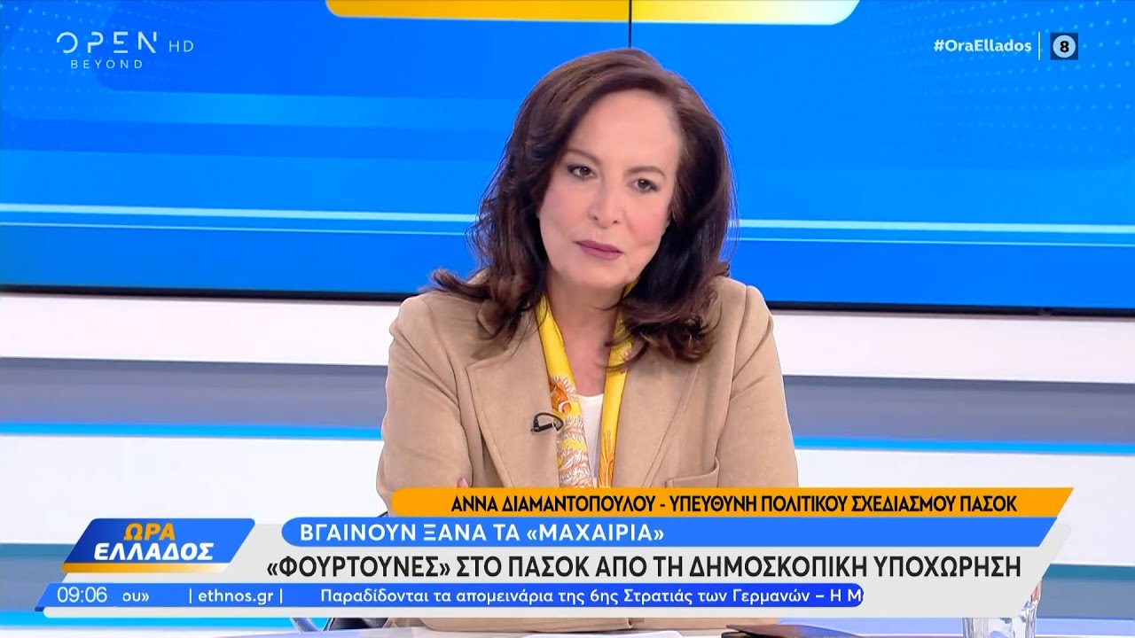 Άννα Διαμαντοπούλου: «Στο ΠΑΣΟΚ δεν γίνεται απολογισμός έργου όπως θα έπρεπε» | Ethnos
