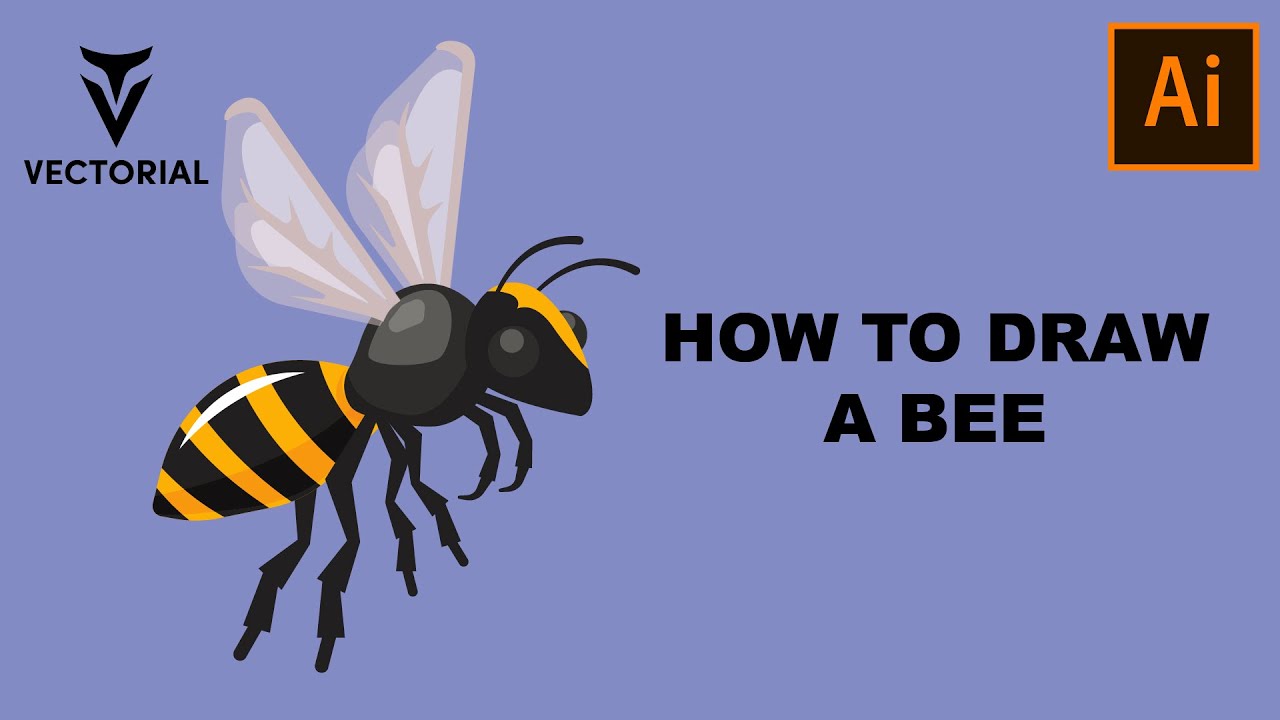 How to draw a Bee in Adobe Illustrator