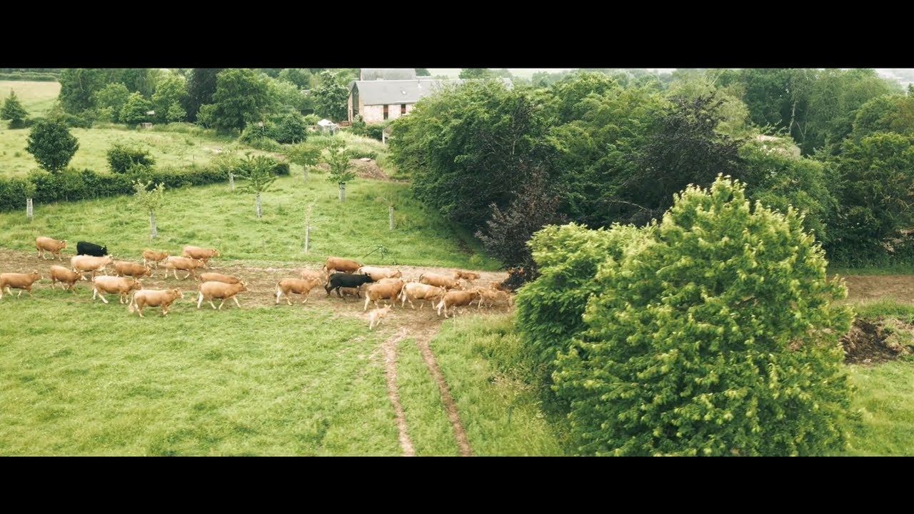 La haie agricole - Entre intérêts écologiques et agronomiques