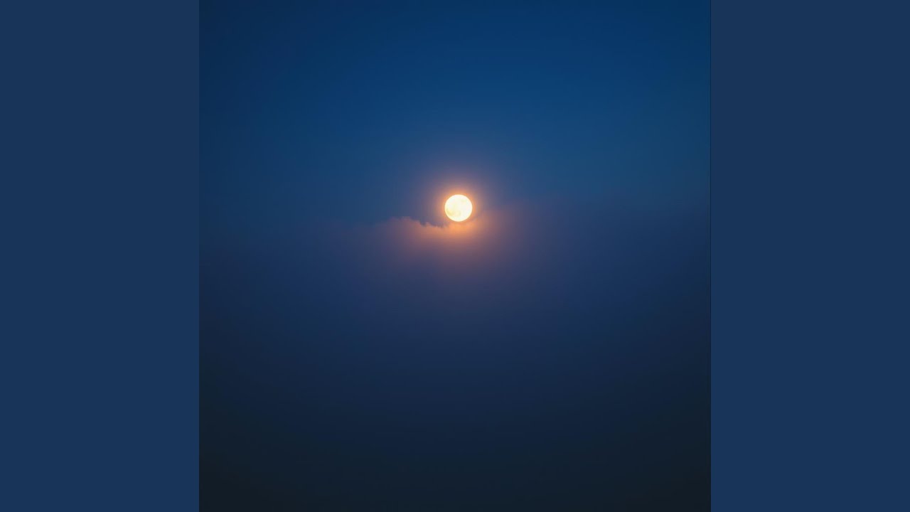 Under The Moonlight