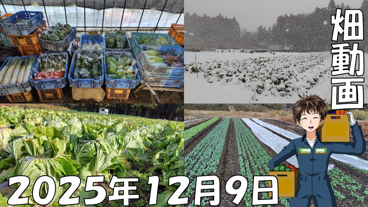 【25/12/10】先週は結構な積雪に･･･冬支度急がないと！