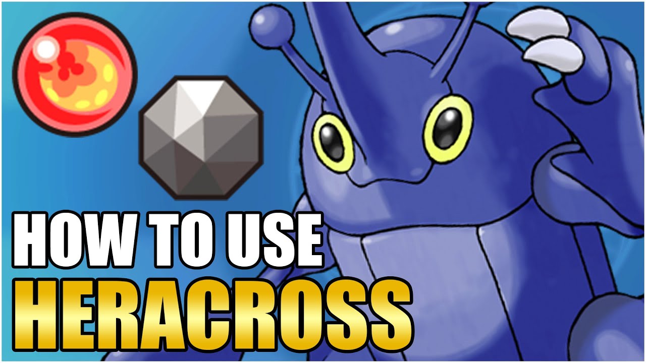 Лучший путеводитель по наборам приёмов Heracross — как использовать Heracross Competitive VGC Meg...