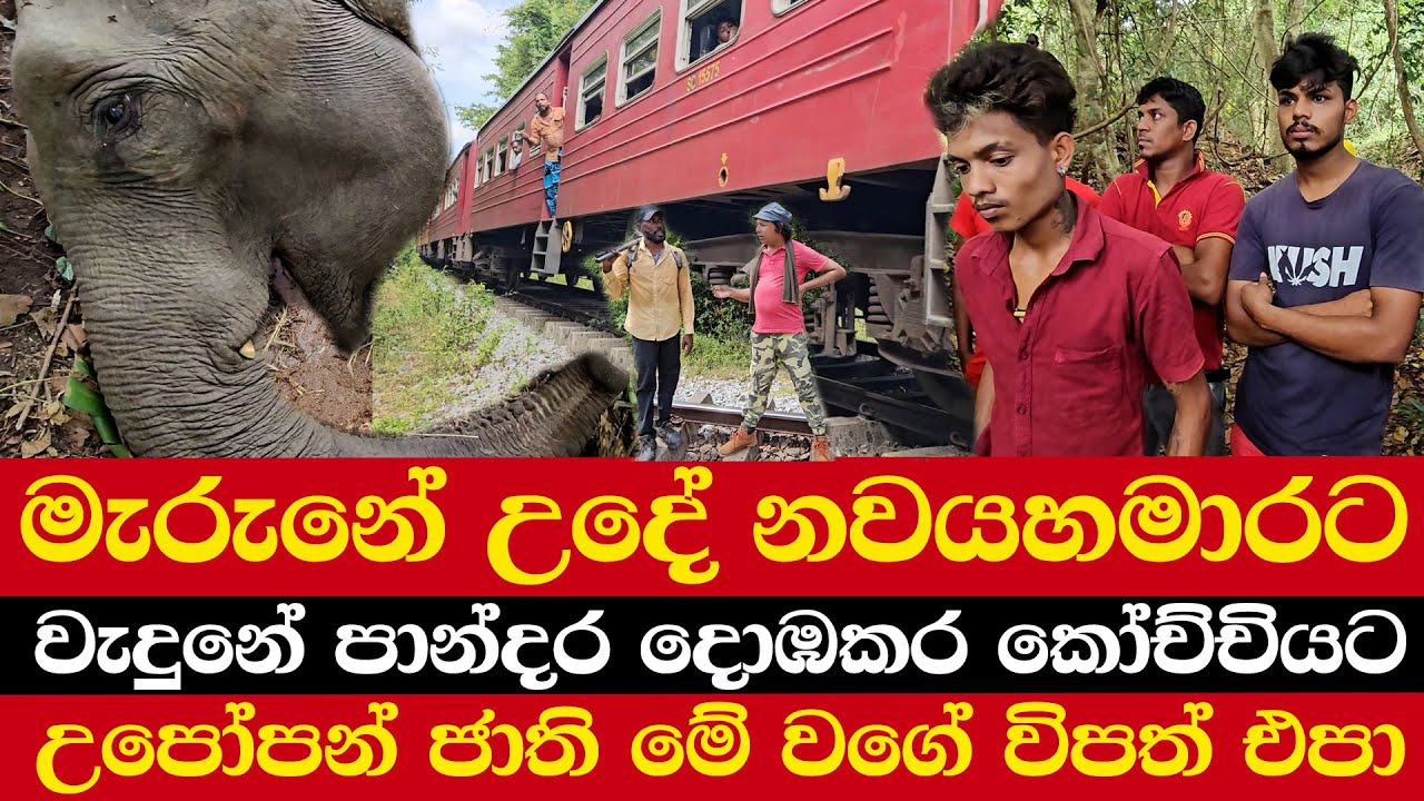 මැරුනේ උදේ නවයහමාරට | වැදුනේ පාන්දර දොඹකර කෝච්චියට