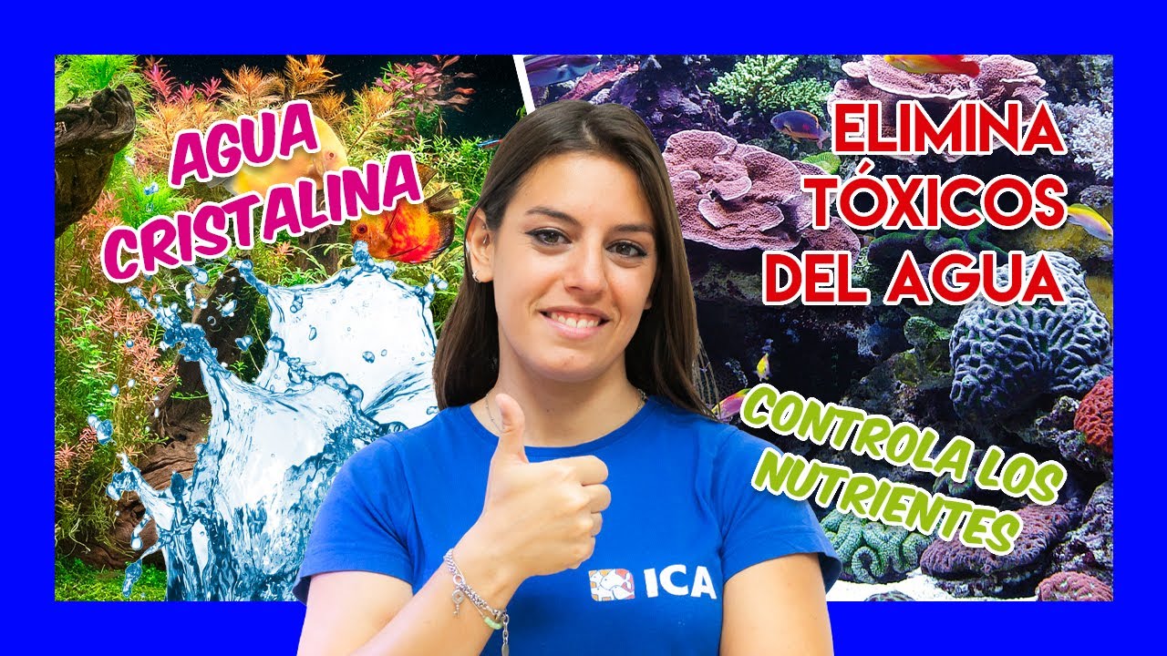 FILTRACIÓN QUÍMICA en el ACUARIO - agua CRISTALINA y eliminación de contaminantes