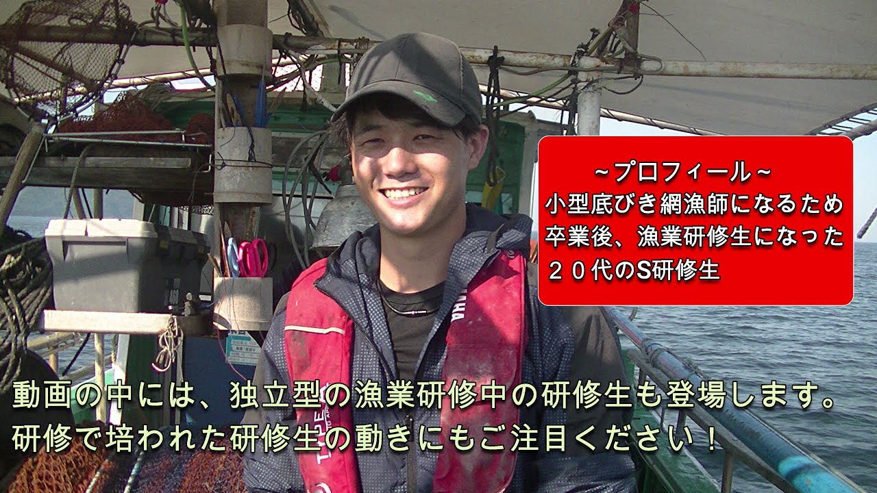 【山口県の漁業】小型機船底びき網漁業（山口県田布施町）　#漁業　#小型底びき　#田布施町　#漁師　独立型漁業