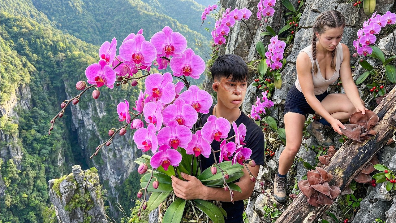Brave Boy Risks His Life Harvesting Phalaenopsis Orchid on Cliff - What Happens Next ?