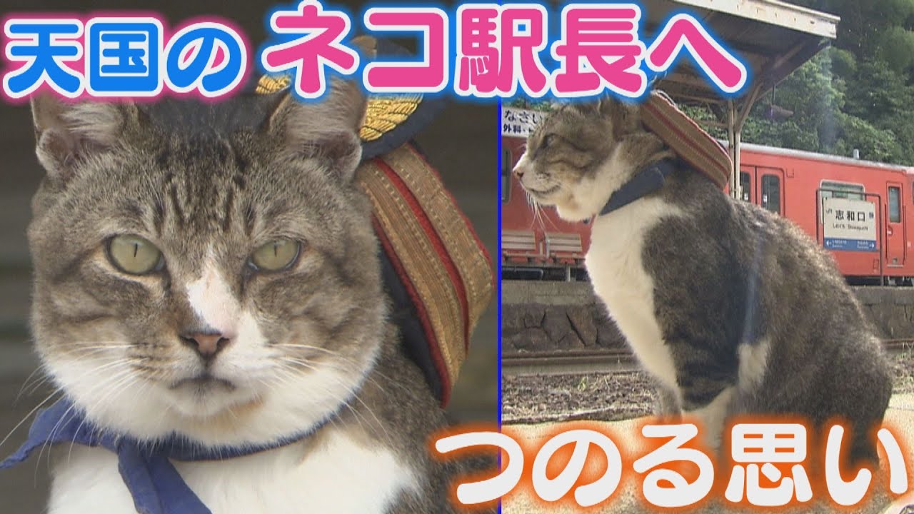 【りょうま】天国のネコ駅長へ　つのる思い【芸備線志和口駅】