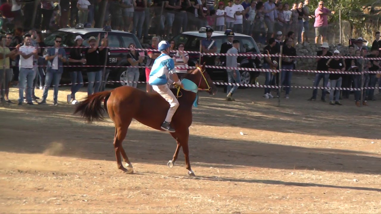 Il Palio dei Berberi 2017
