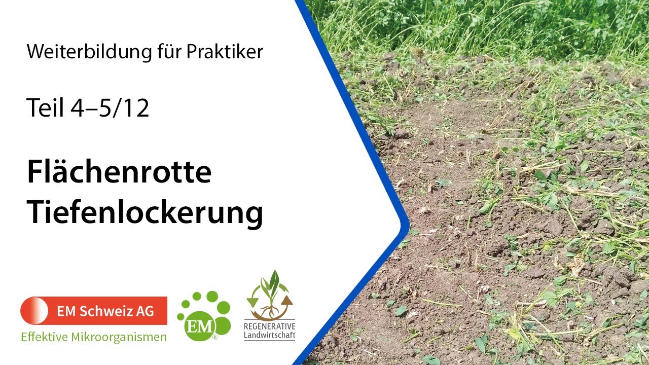 Teil 4+5 | Weiterbildung für Praktiker | Flächenrotte und Tiefenlockerung