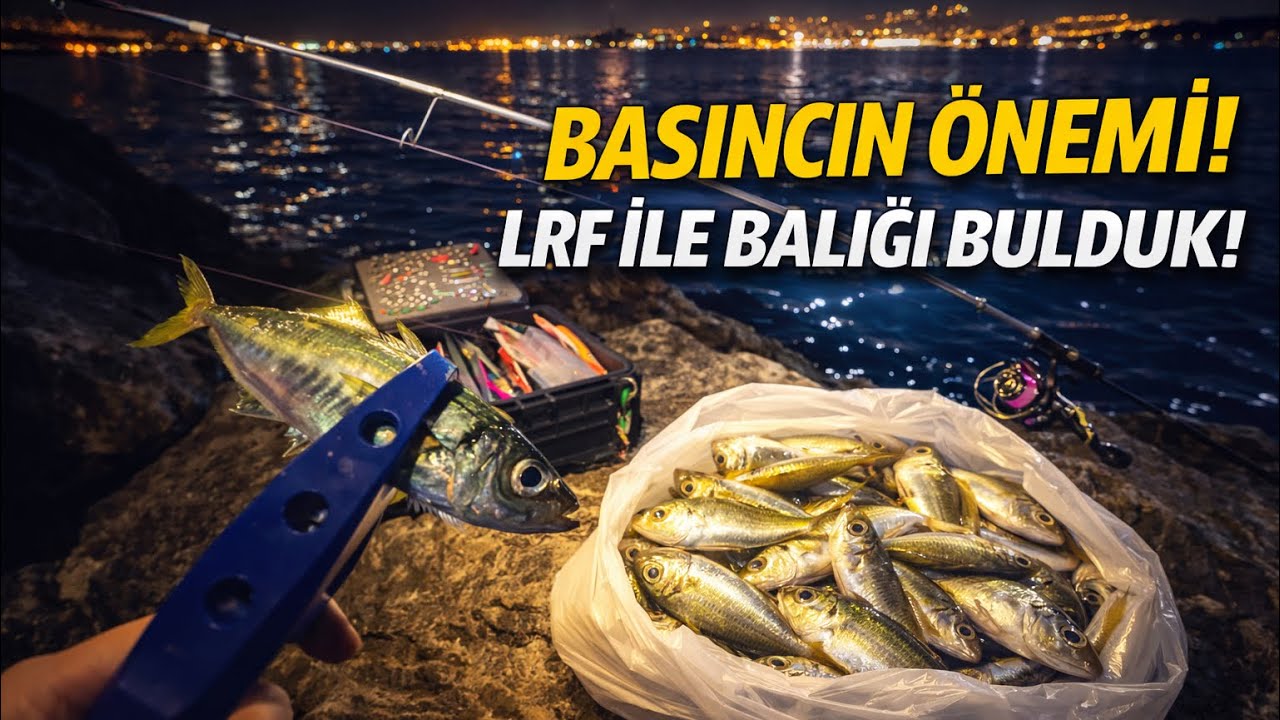 Balığı bulana kadar pes etmek yok! |İSTANBUL LRF AVI| Aralık Ayında LRF AVI| Bim Silikonu,ecogear!