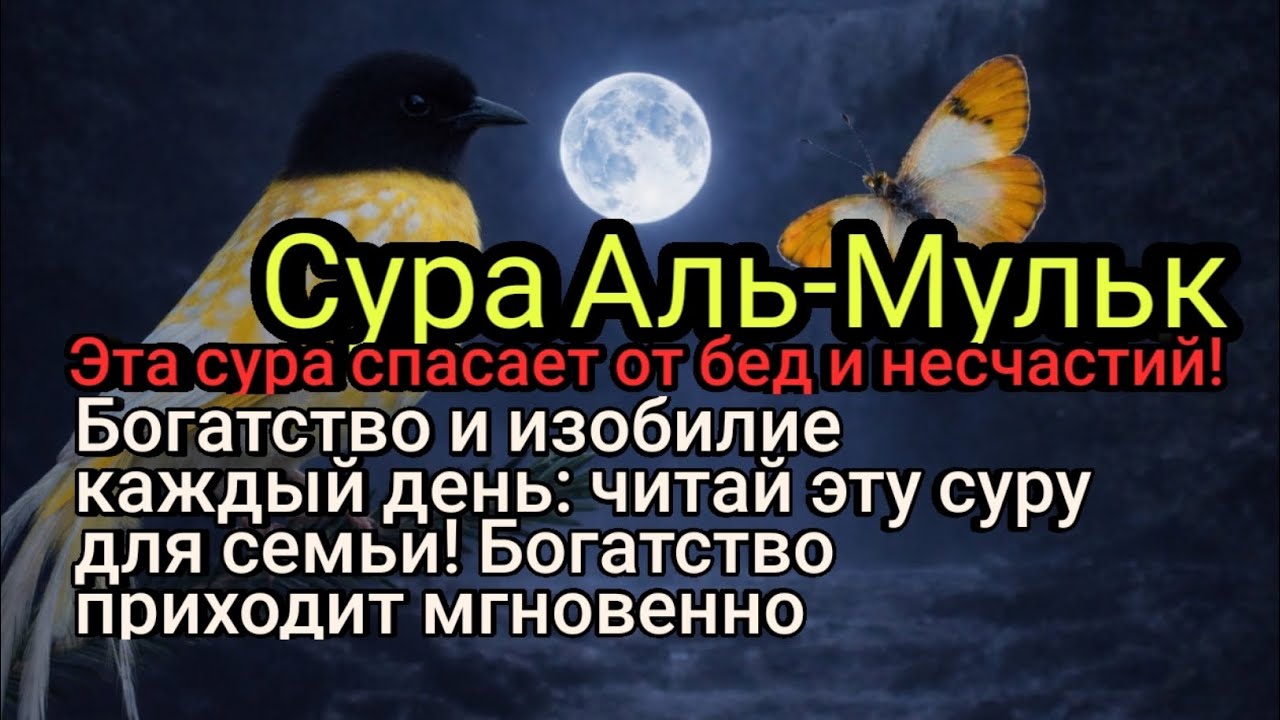 Богатство с небес и защита от бед: великая тайна этой суры!