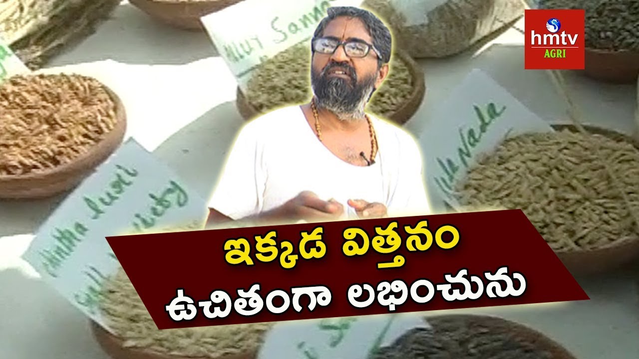 హైదరాబాద్‌లో దేశీ విత్తనోత్సవం !! | Desi Seeds | Farmer Vijay Ram | Natural Farming | hmtv Agri