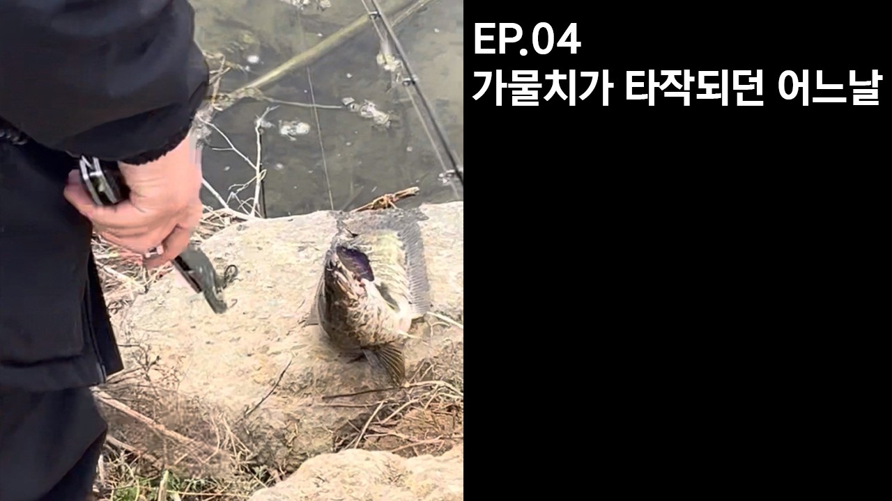 EP.04 가물치가 타작되던 어느날(FEAT.평택 서정리천)