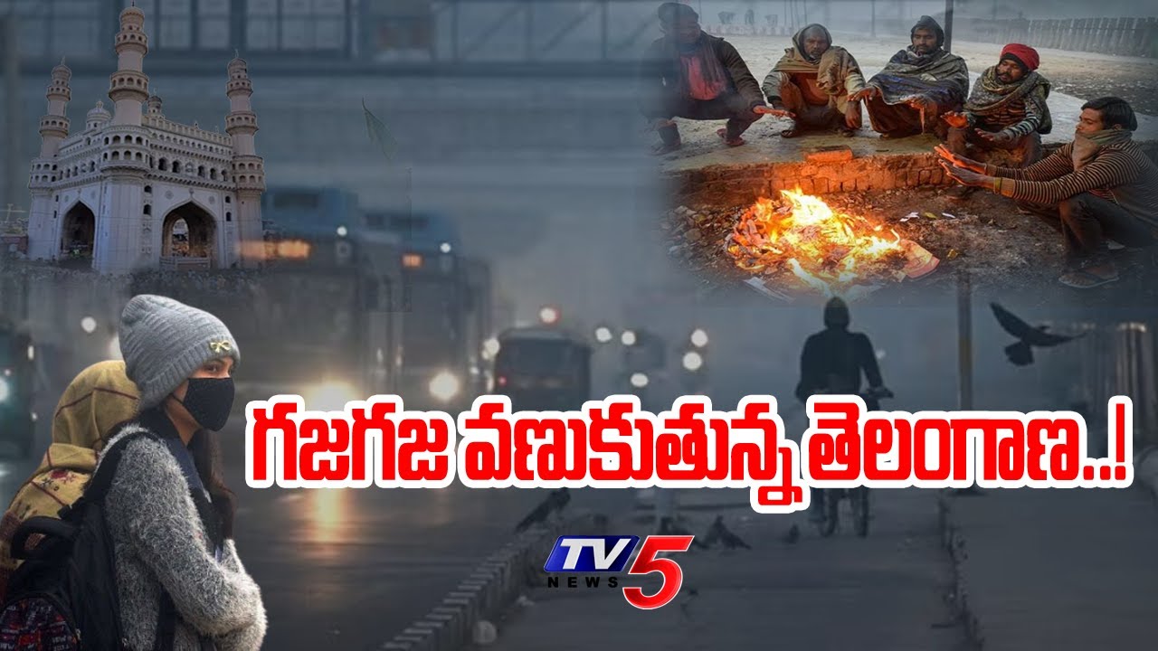 TV5 Special Report On Extreme Cold Wave In Telangana | Weather Report In Telangana | TV5 News