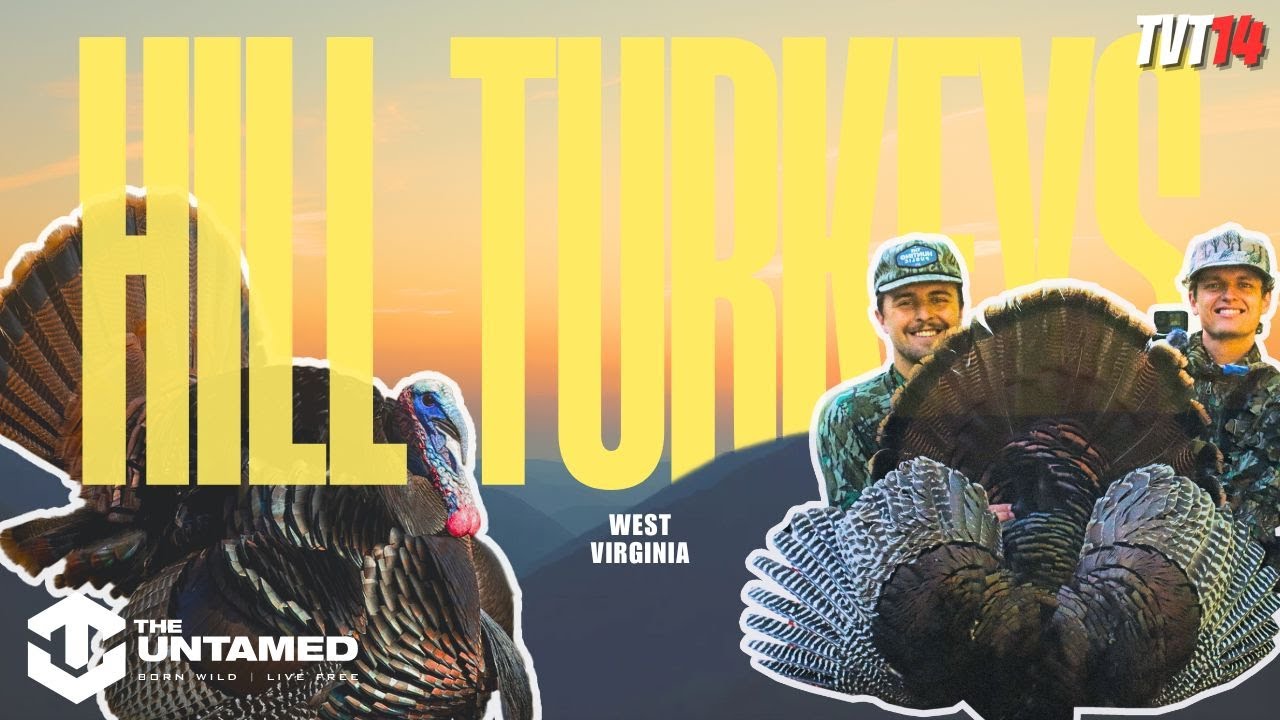Hunting TURKEYS in HILL COUNTRY with THE UNTAMED - West Virginia Public Land