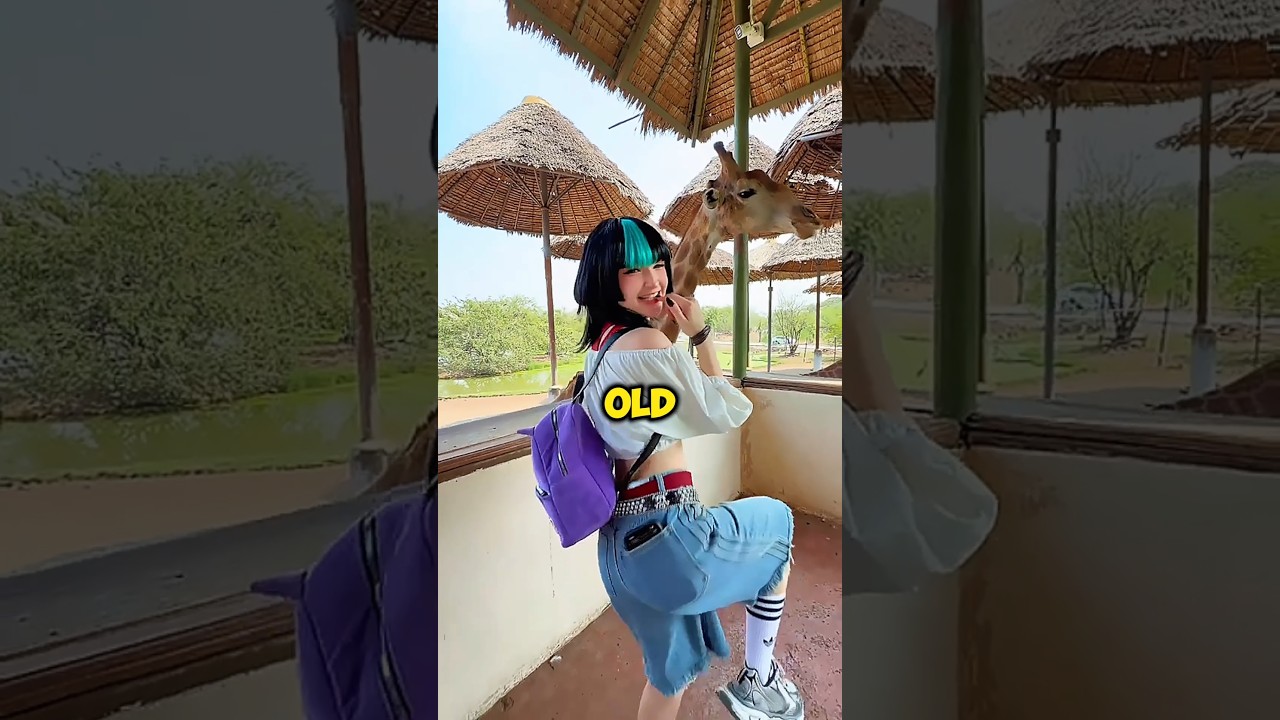 Top 5 Most Iconic Popular Throwback Summer Songs (2016&ndash;2020 )🌞🔥🌍 | Trending on TikTok#explor#music