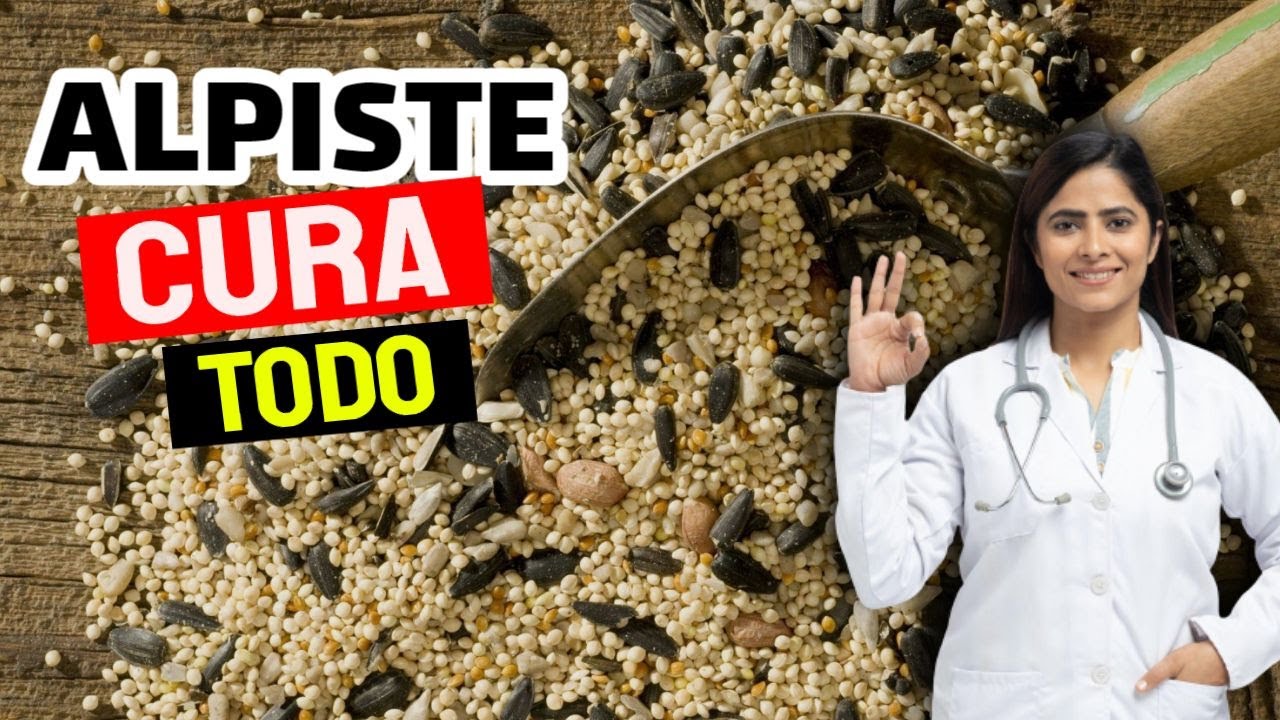 📢 Para Que Sirve EL ALPISTE & Como Se DEBE TOMAR ✅ *Como PREPARAR LECHE De Alpiste* ✅