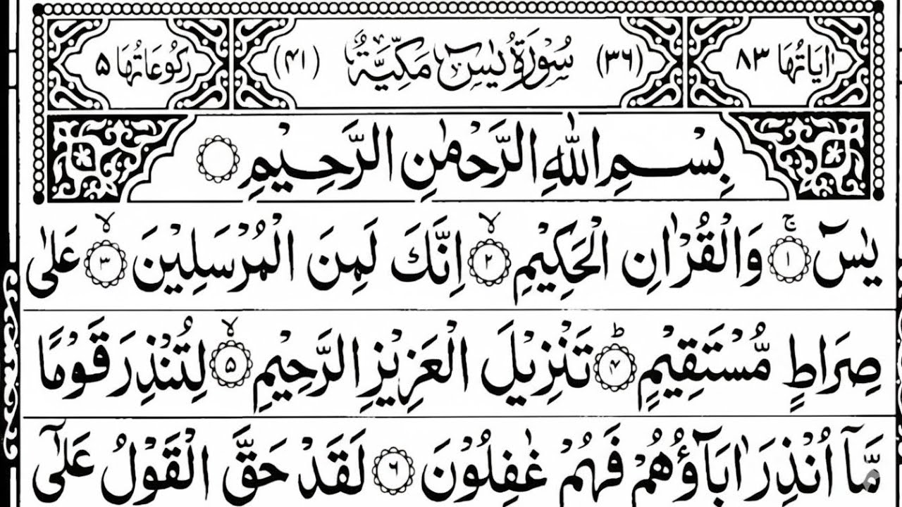 Surah Yaseen 🌿 Ar-Rahman & Al-Mulk | Peaceful Heart (Vol. 293)