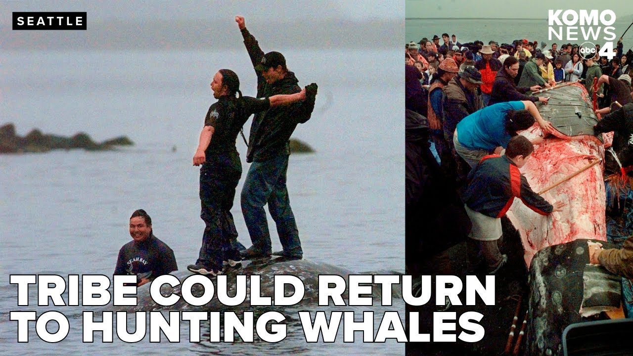 Washington state's Makah tribe clears major hurdle toward resuming whale hunts