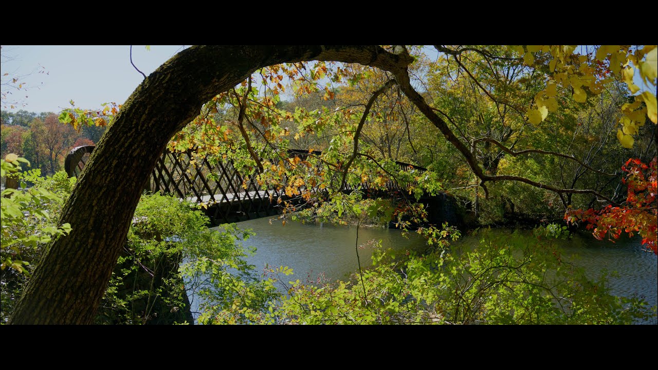 Testing the Nikon Zr 6K 60P 12bit R3D NE and 32bit Stereo: Fall Colors and Natural Sounds
