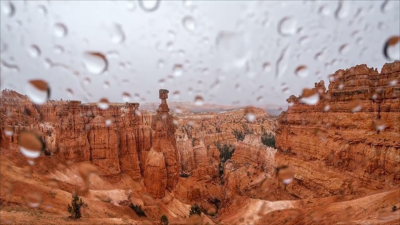 Rainy Day at Bryce Canyon Utah | Natural ASMR Sounds for sleep & Stress Relief #asmr #relaxingsounds