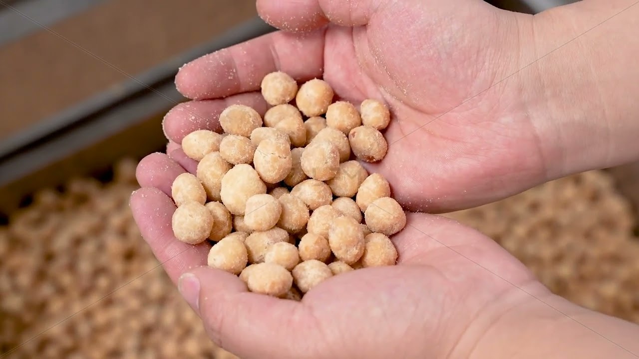 Coated Peanut Seasoning Machine Flavoring Nuts Roasting Making Line