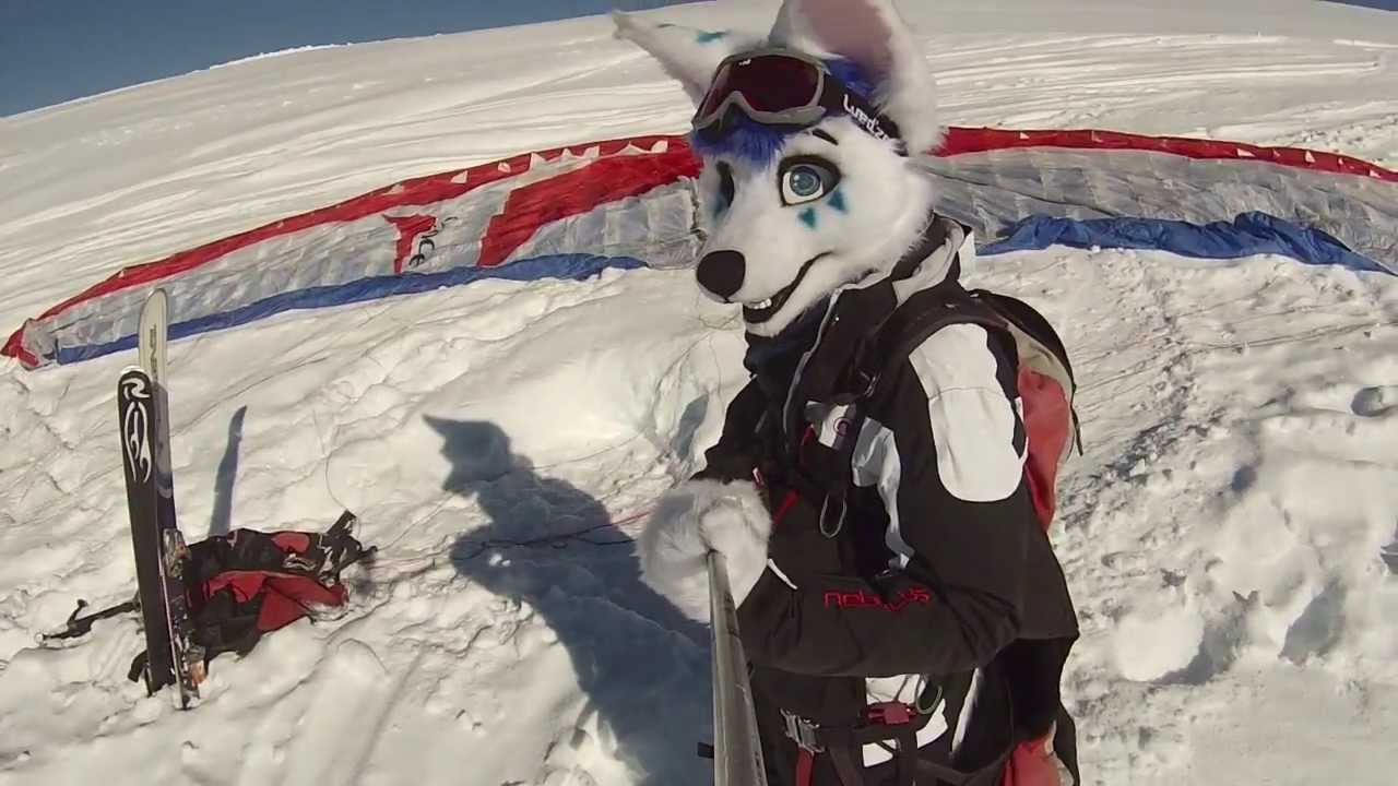 Fursuit Para-skiing (foxes can fly!)