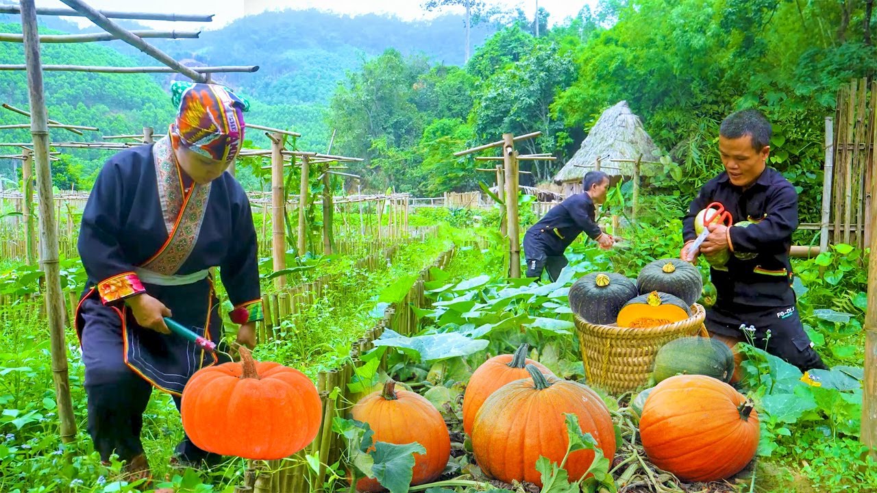 Harvesting Homegrown Pumpkins for Market &ndash; Dwarf Family Sells Out Instantly!
