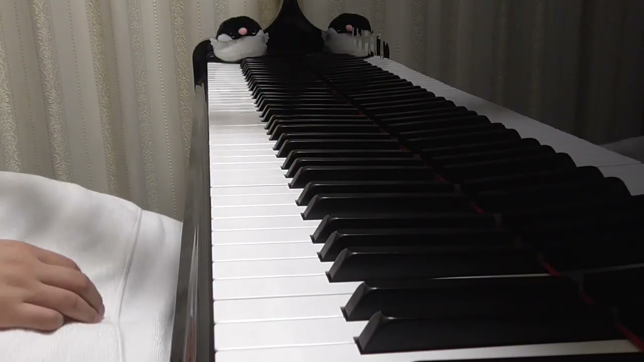 Chopin No.2-　　  ショパン   アンダンテスピアナートと華麗なる大ポロネーズ　（Andante Spianato, Grande Polanaise BrillanteOp.22）