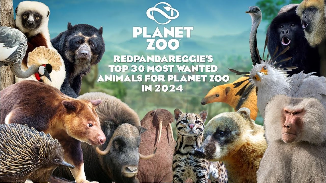 RedPandaReggie's Top 30 Most Wanted Animals for Planet Zoo in 2024