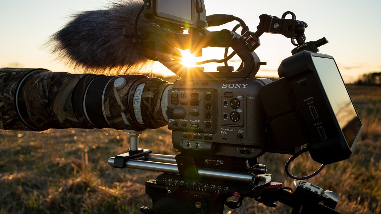 Sony FX6 Review for Birds and Wildlife — From an FS5 Owner