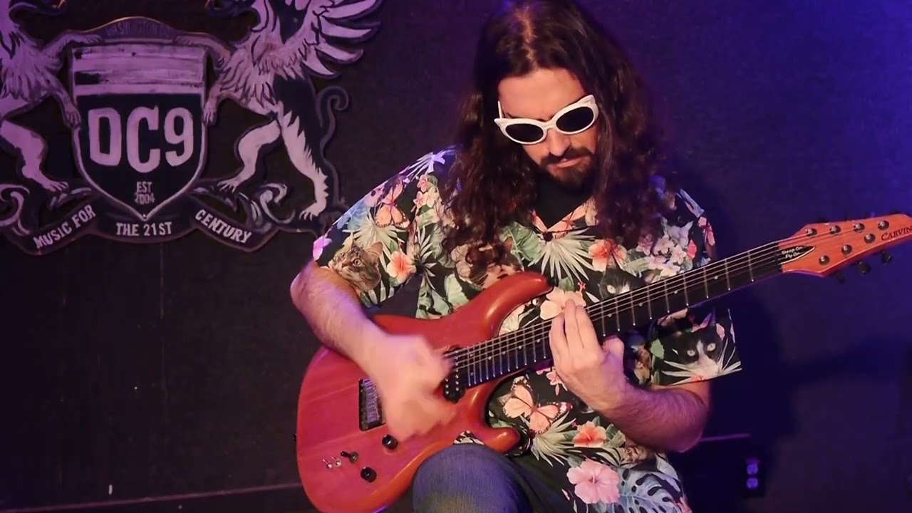Wings Denied - Liferbroker Guitar Playthrough
