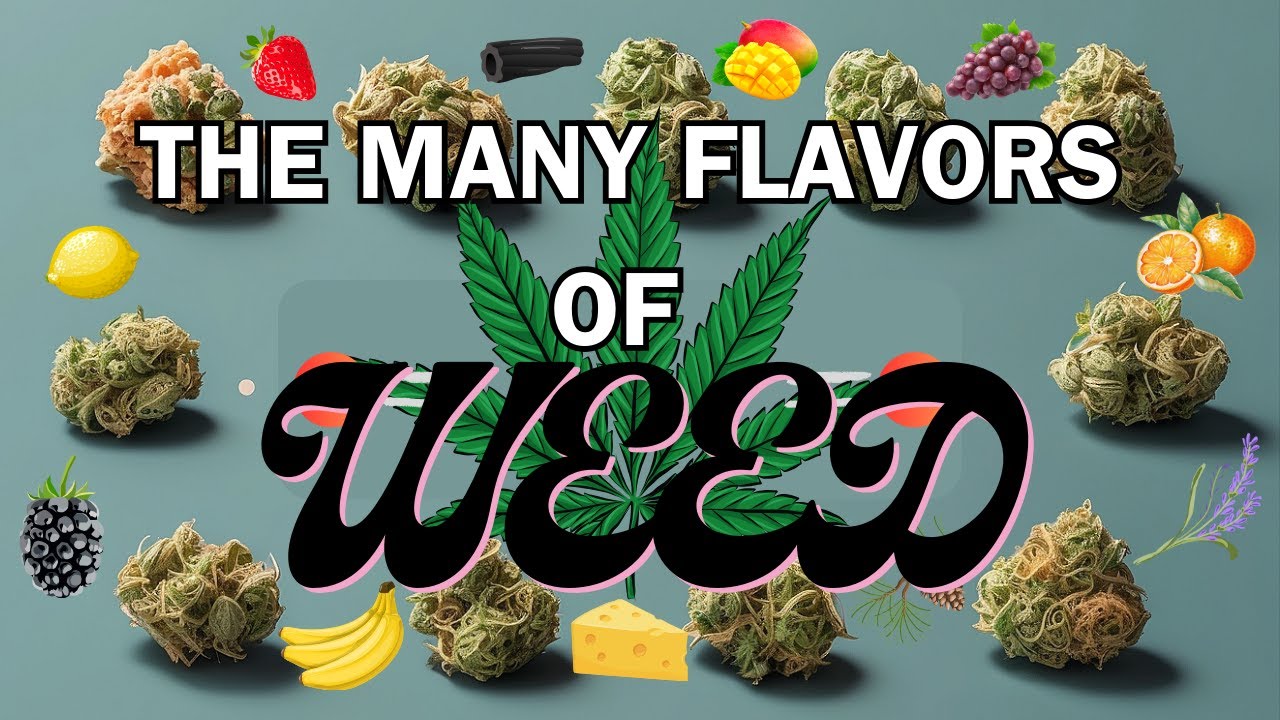 Flavor Profiles of the Cannabis Kingdom